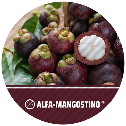 alfa mangostino